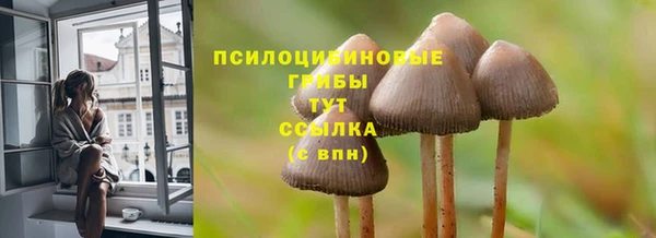 крисы Зеленодольск