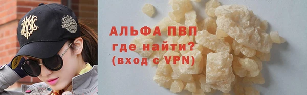 стафф Зеленокумск