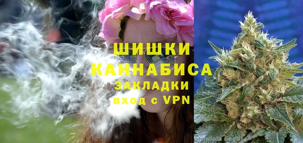 крисы Зеленодольск