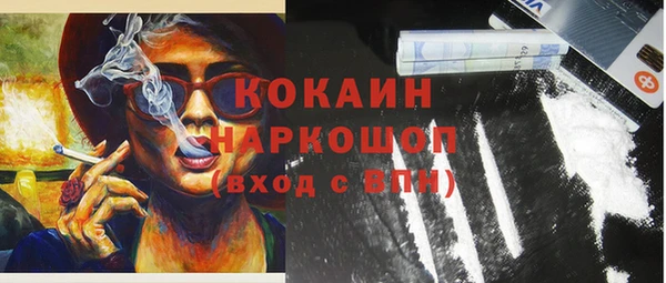 крисы Зеленодольск