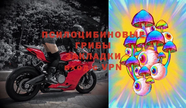 стафф Зеленокумск
