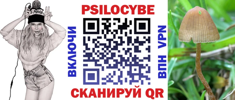 Купить где Камень-на-Оби Псилоцибиновые грибы Cubensis